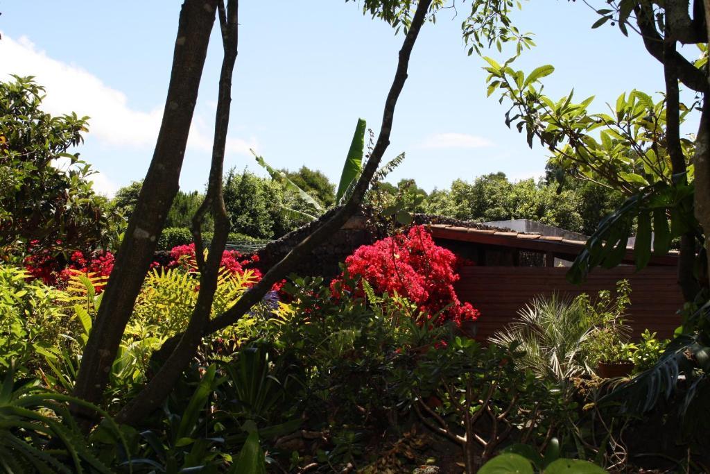 Quinta de São Caetano - São Miguel Açores Populo  Extérieur photo